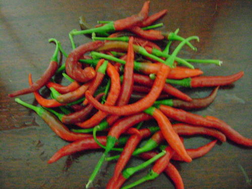 Hot thai pepper recipes