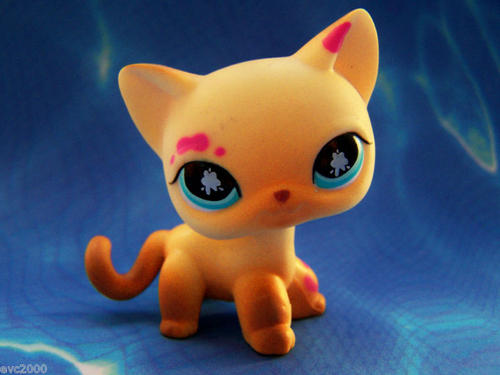 Other Collectable Toys - Littlest pet shop, Cat Painting Cat #815 was