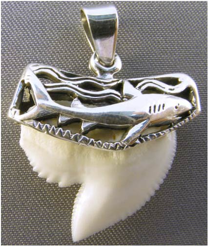 THIS AUTHENTIC TIGER SHARK TOOTH IS SET IN A HANDMADE STERLING SILVER 