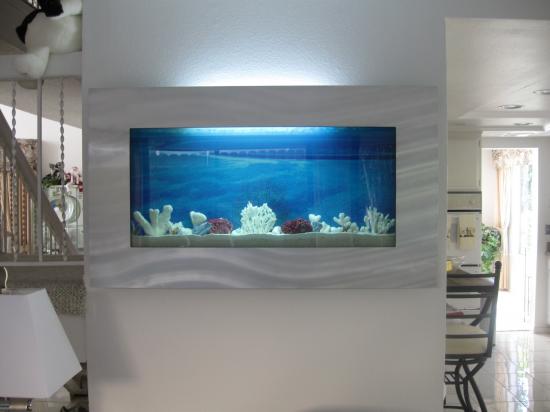Saltwater Aquarium Fish. Fish Tanks & Aquariums