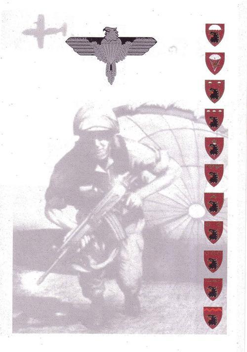 army freefall badge certificate