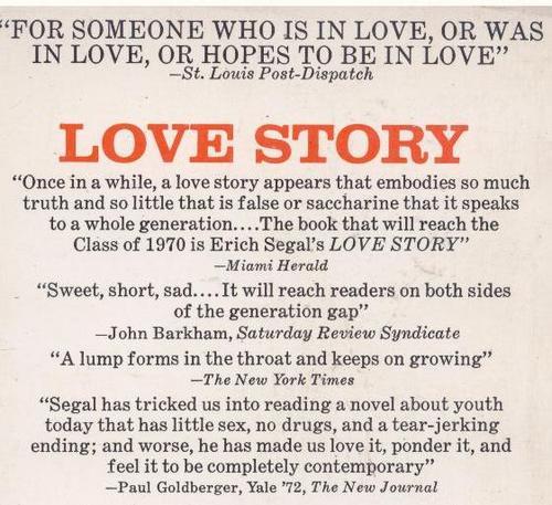 Love Story Online Novel