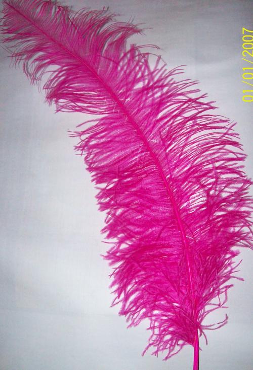 Wedding Decorations Ostrich Feathers large light pink dark pink 