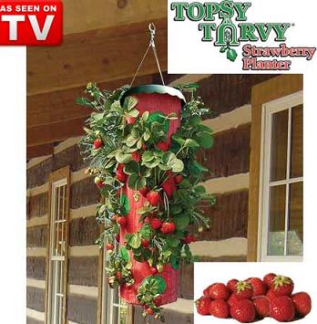 Hanging Strawberry Pots
