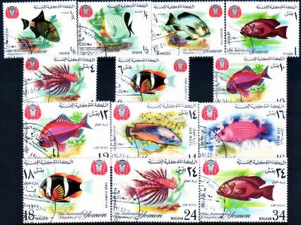   Fish Guide on Other European   Red Sea Fish 11967  216 229 Complete Used Set Yemen