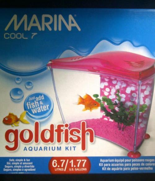 goldfish tank filter. Goldfish Aquarium Kit Pink