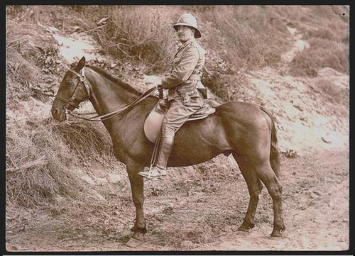 Rare & Valuable Boer War Postcard - Rooinekke*PLUS*Bonus photo