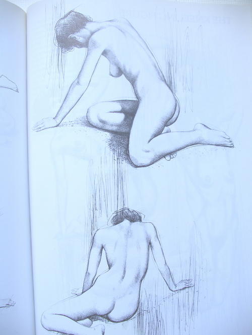 Drawing the Female Nude Giovanni Civardi
