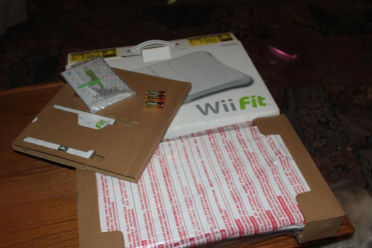 wii fit cd